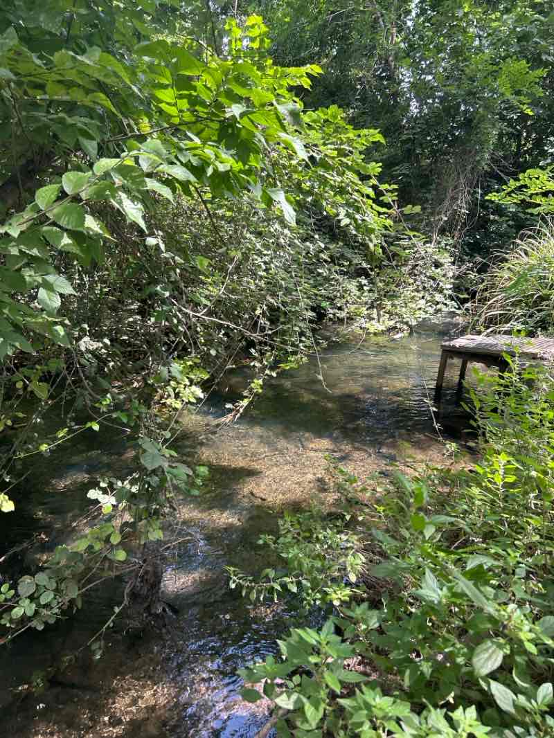 walking near me in Parc de Can Zam in winter