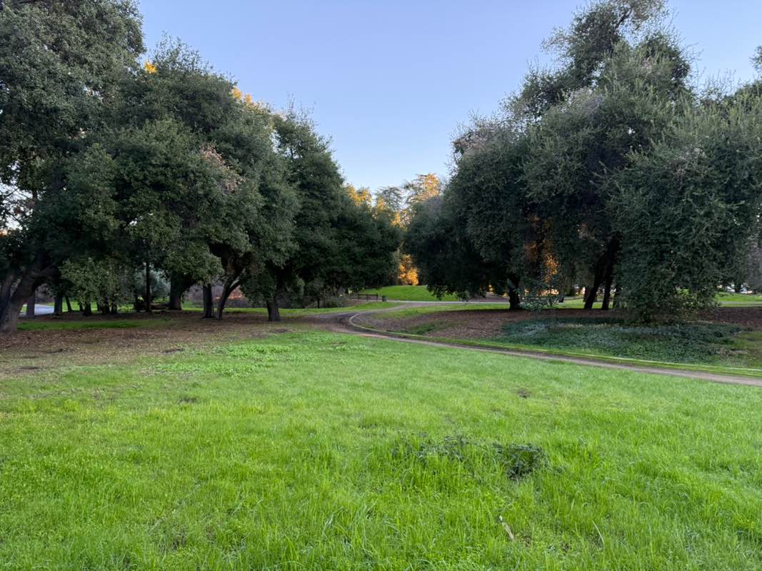 walking near me in Edenvale Garden Park in winter