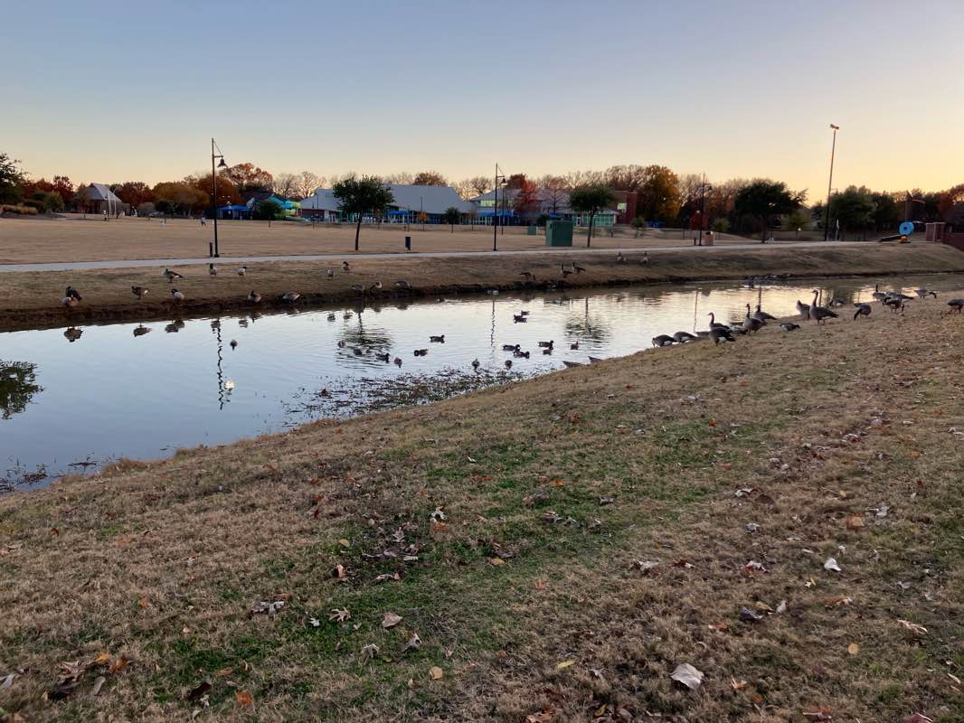 walking near me in Andrew Brown Park East in winter