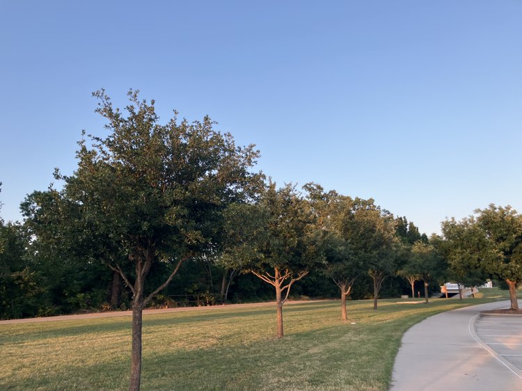 walking near me in Andrew Brown Park West in spring