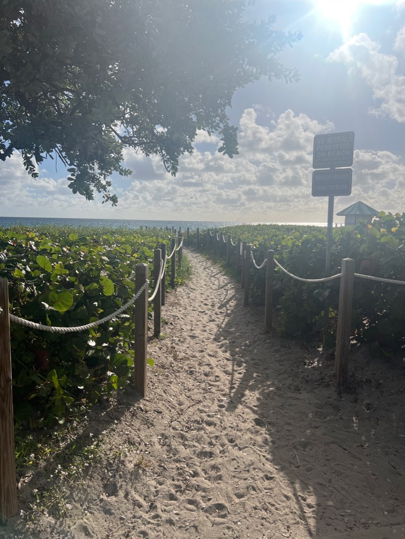 walking near me in Anchor Park in winter