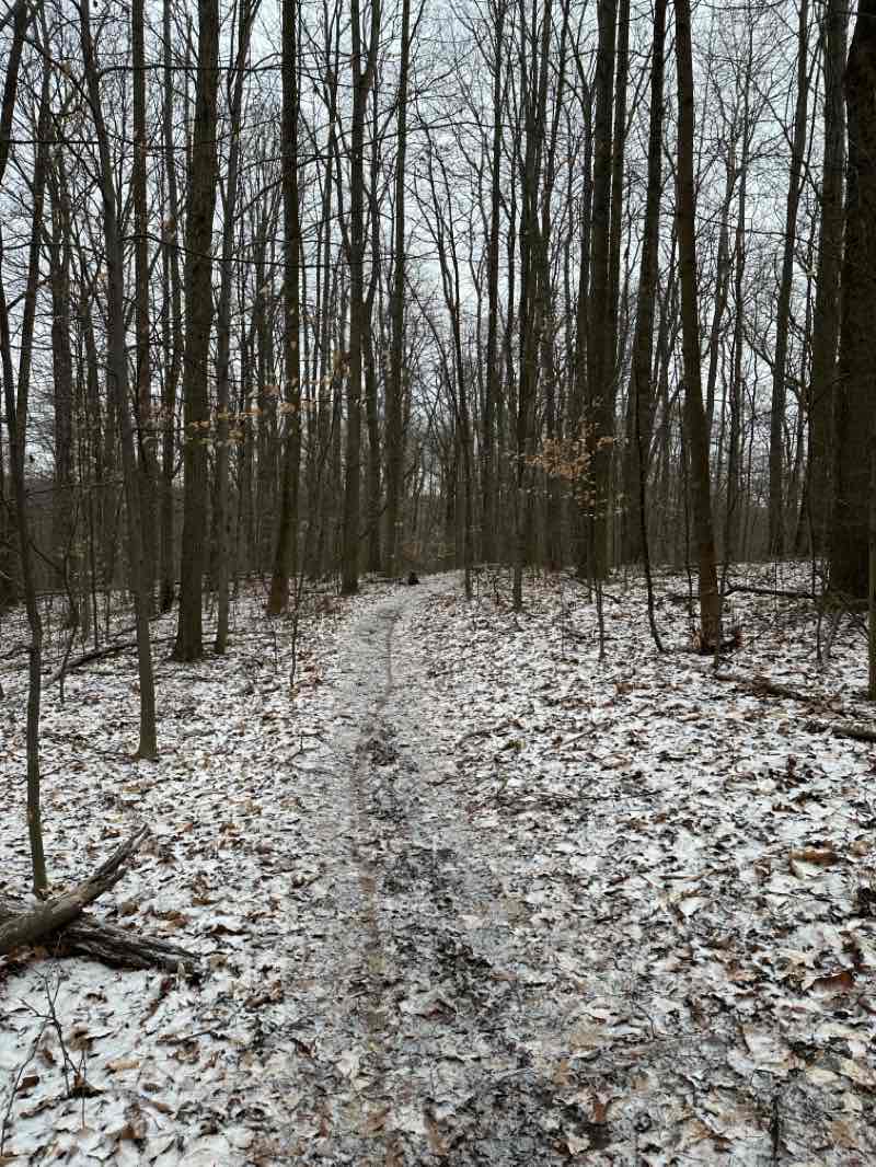 walking near me in O'Neil Woods Metropark in winter