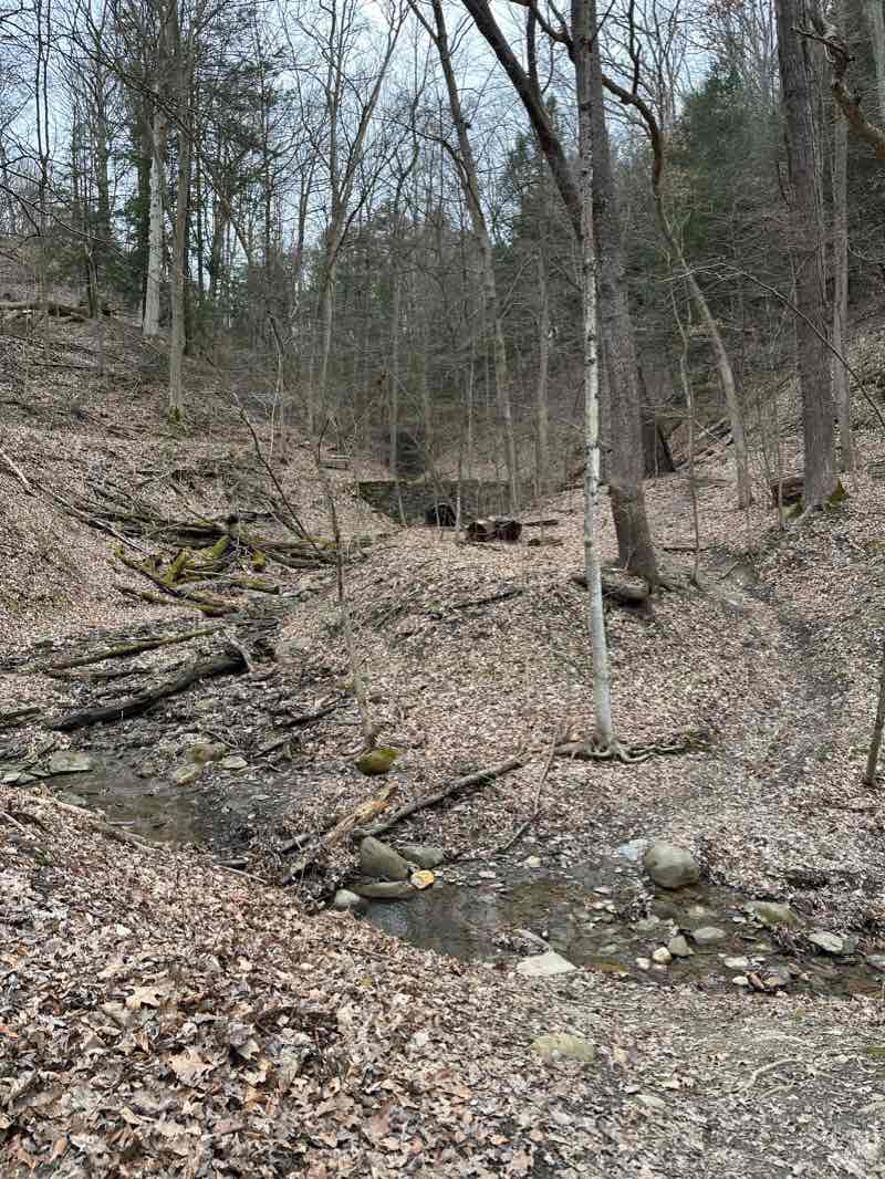 walking near me in Sand Run Metro Park in winter