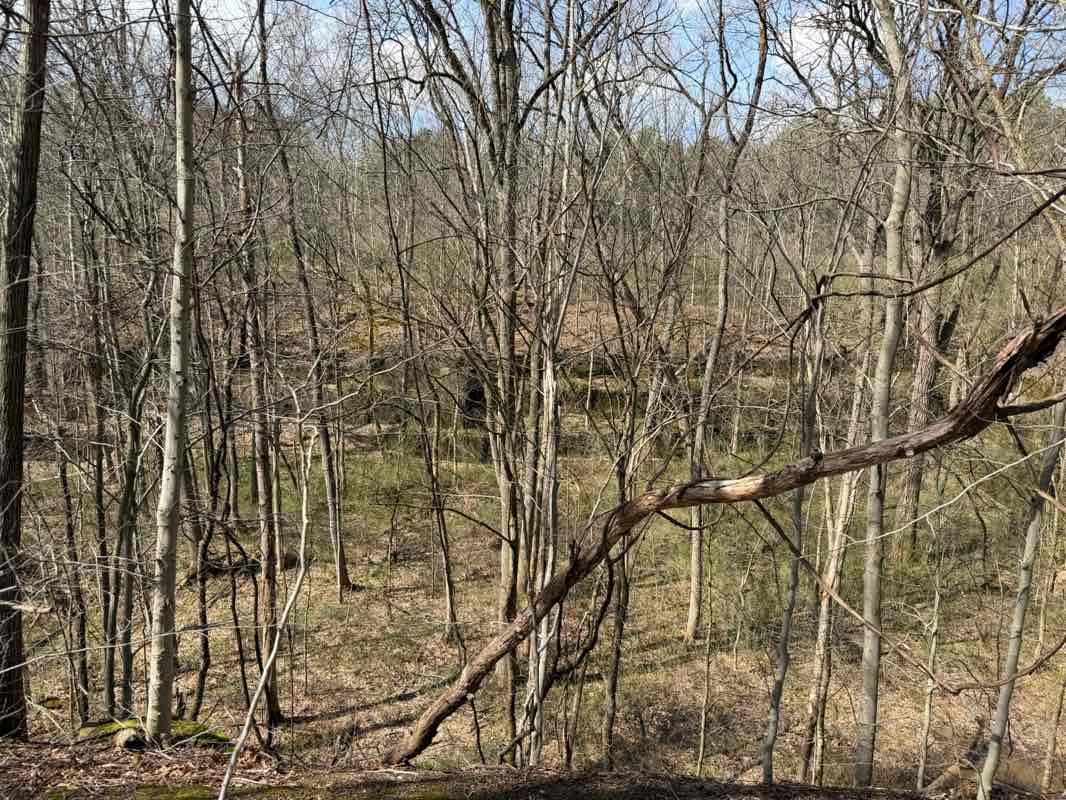 walking near me in Cuyahoga Valley National Park in spring