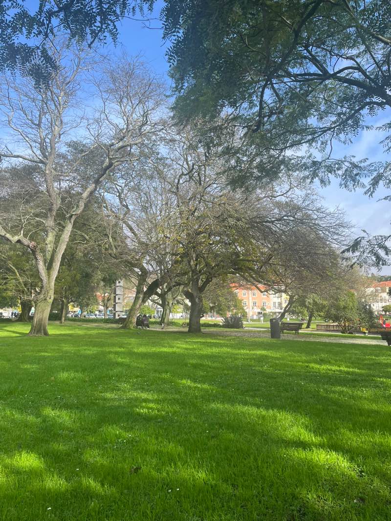 walking near me in Jardim Vasco da Gama in winter