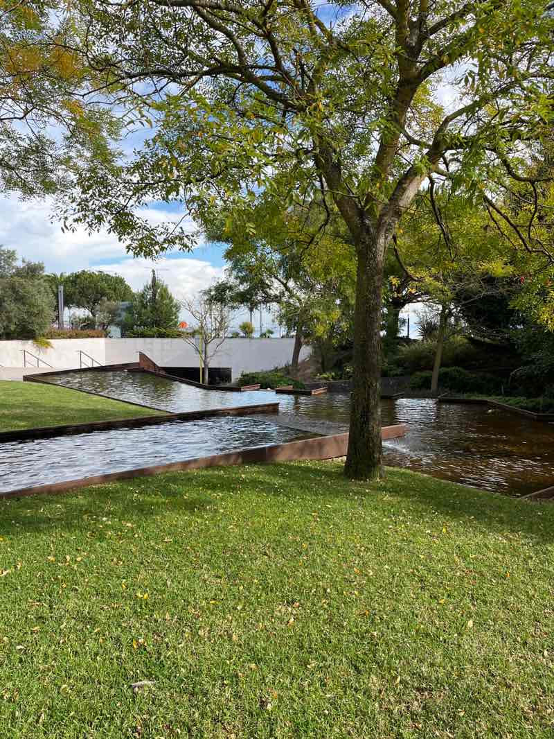 walking near me in Parque de Palmela in autumn