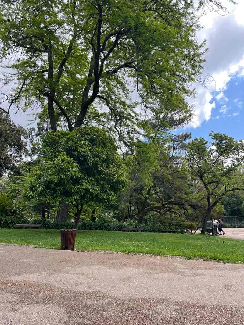 walking near me in Jardim da Estrela in spring