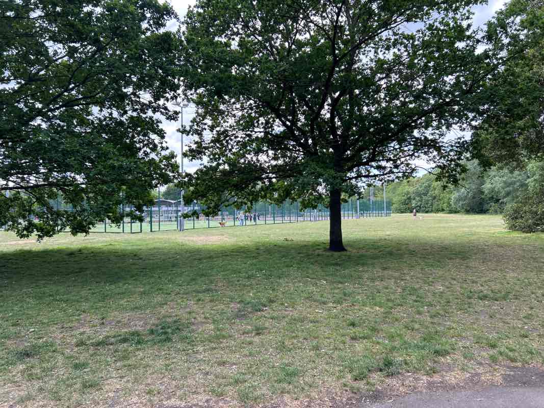 walking near me in Battersea Park in spring