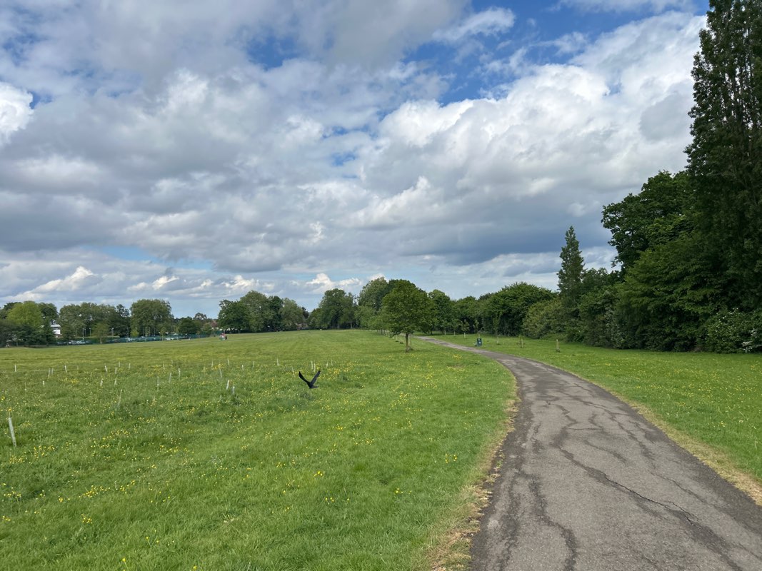 walking near me in Long Grove Park in spring