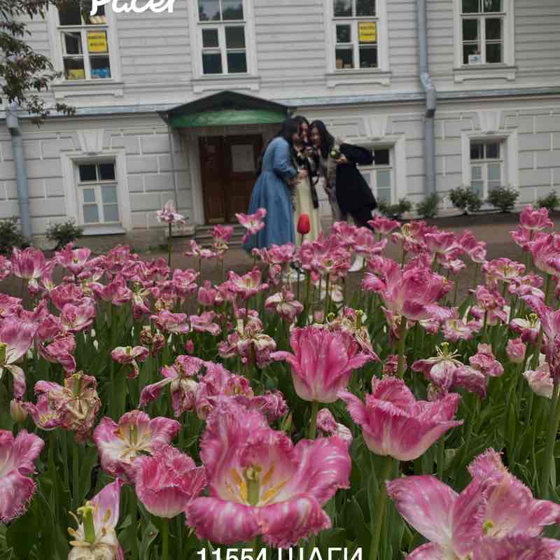 Nataly ☮️ 🍀🌱🌿☘️ post 1