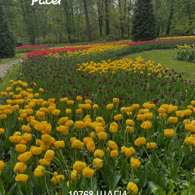 Nataly ☮️ 🍀🌱🌿☘️ post 1