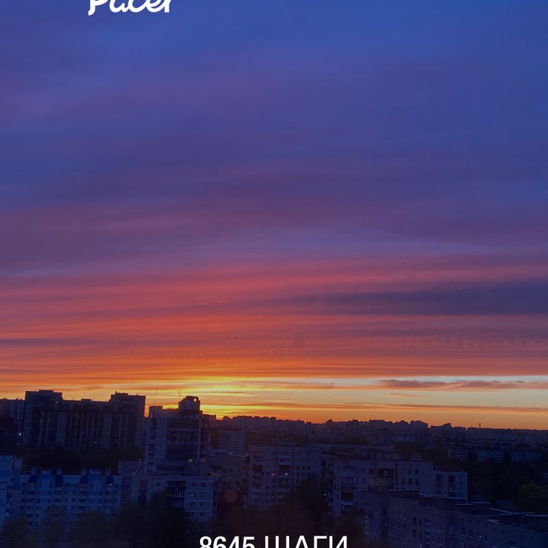 Nataly ☮️ 🍀🌱🌿☘️ post 1