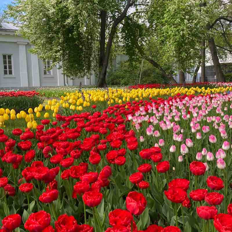 Nataly ☮️ 🍀🌱🌿☘️ post 2