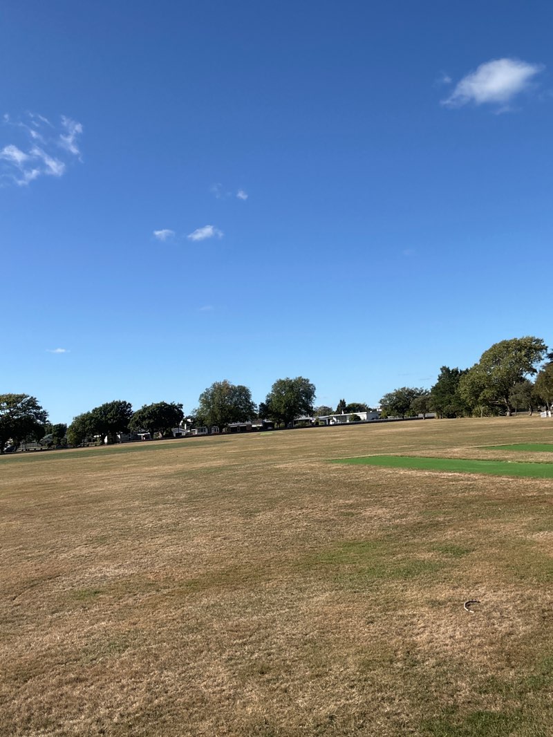 walking near me in Kowhai Park in summer