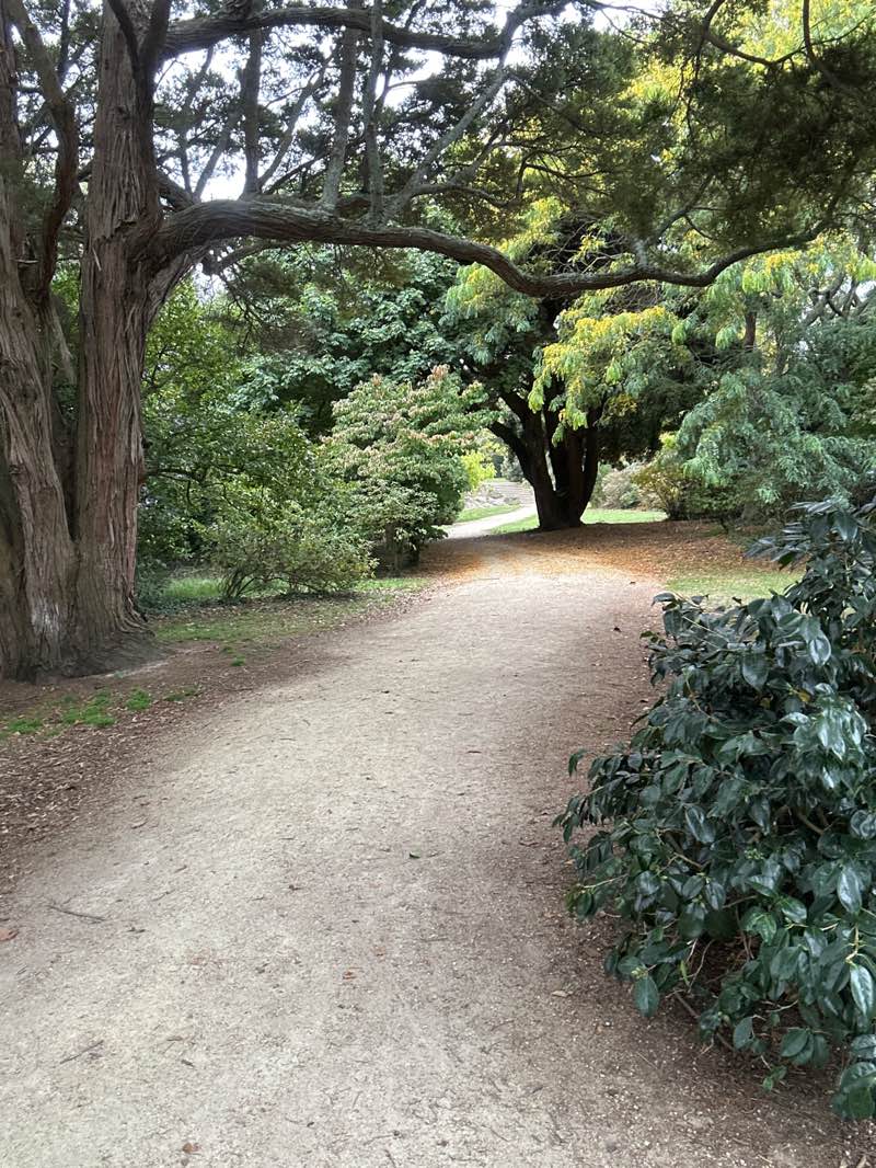 walking near me in Timona Park in autumn