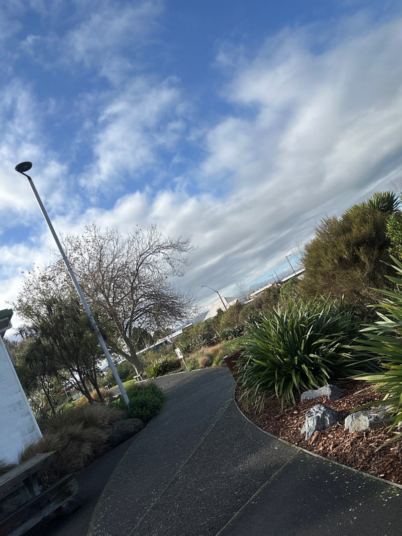 walking near me in Makino Park in winter