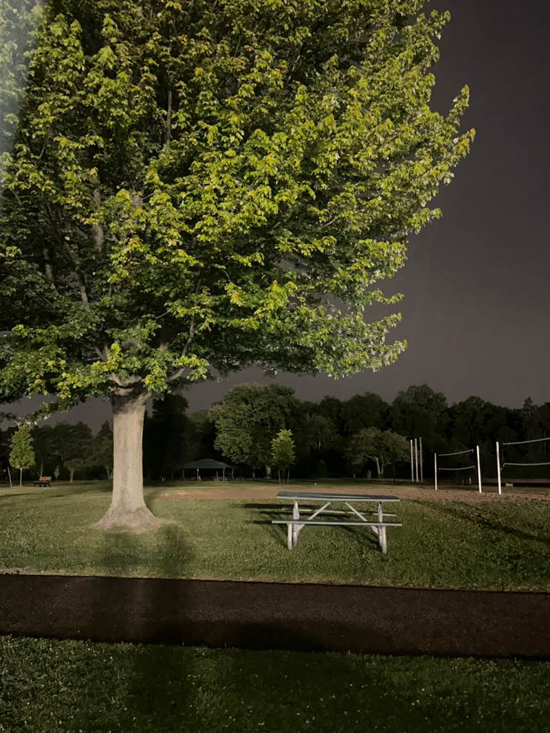 walking near me in Boulan Park in summer