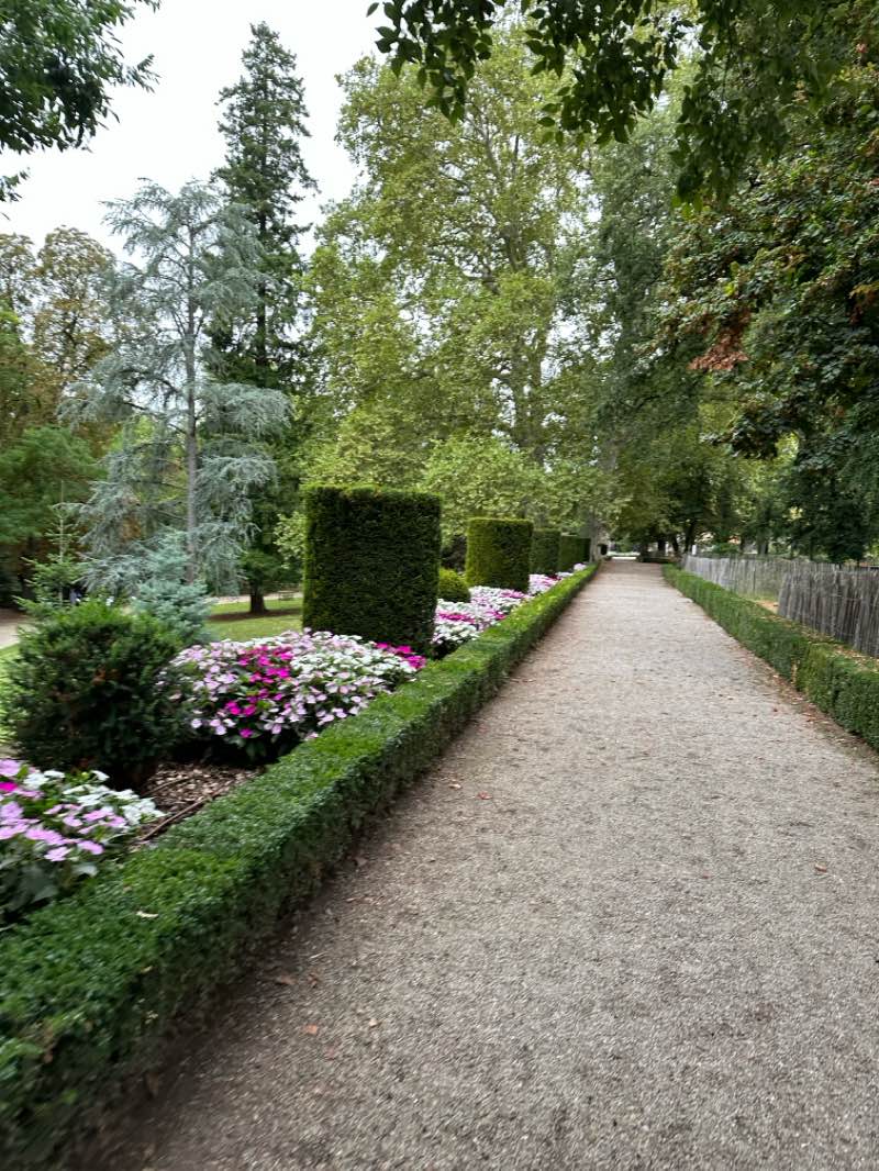 walking near me in Parc Rochegude in winter
