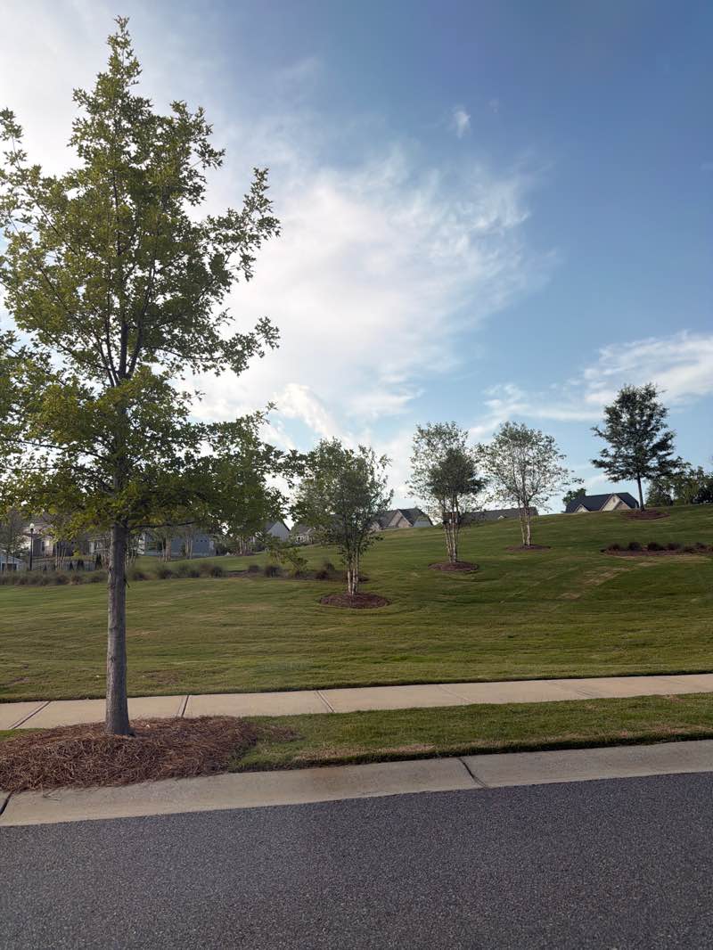walking near me in Big Green in summer