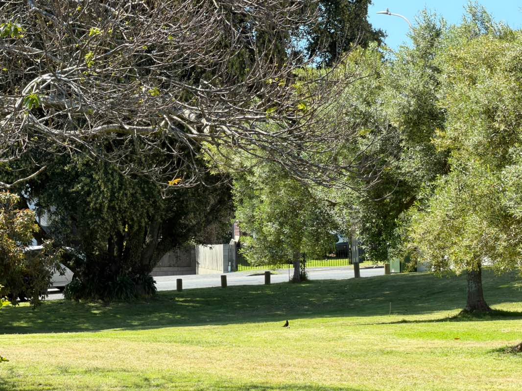 walking near me in Banks Reserve in spring