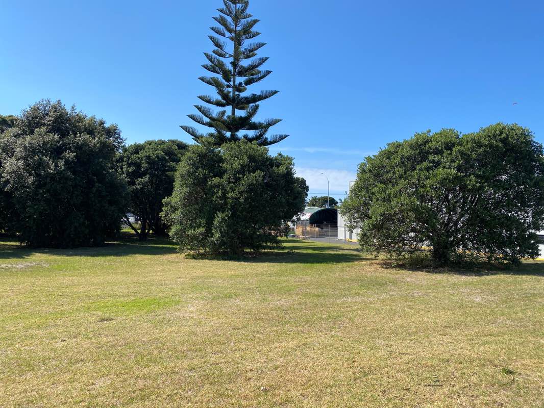 walking near me in Tatua Reserve in autumn