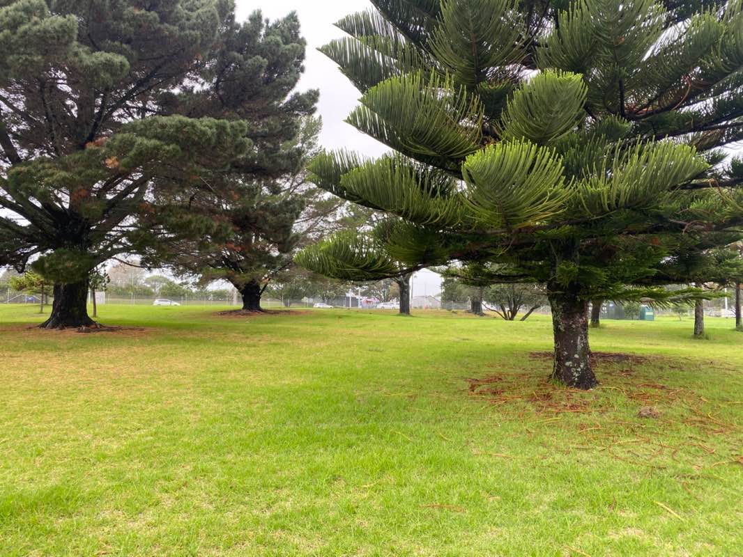 walking near me in Soper Reserve in autumn