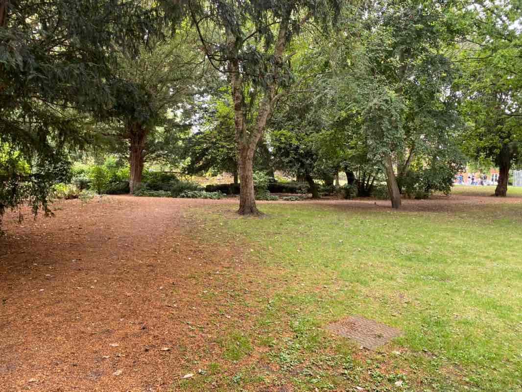 walking near me in York House Gardens in autumn