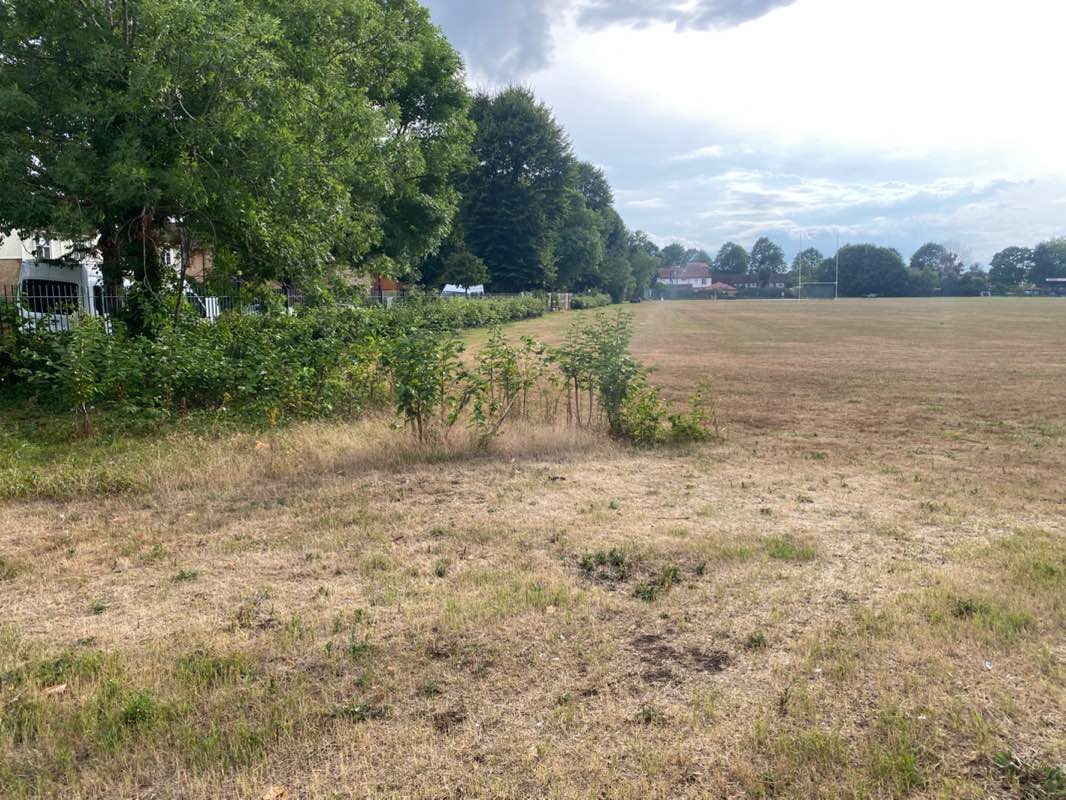 walking near me in Udney Park Playing Fields in autumn