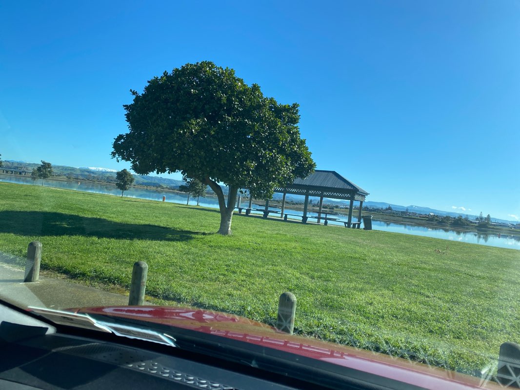 walking near me in Humber Street Reserve in spring