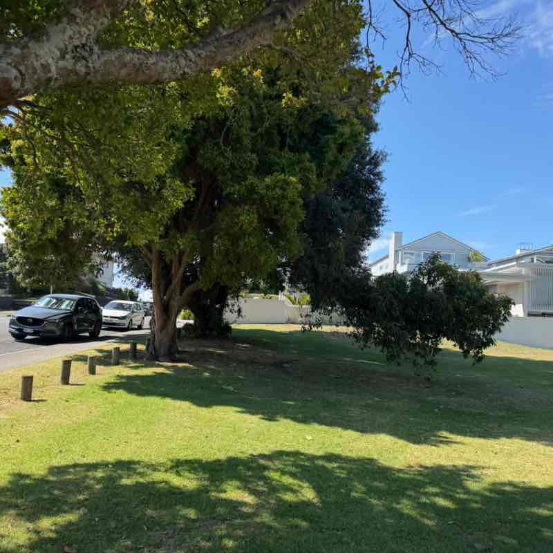 Neil Joseph McLaughlin post 2