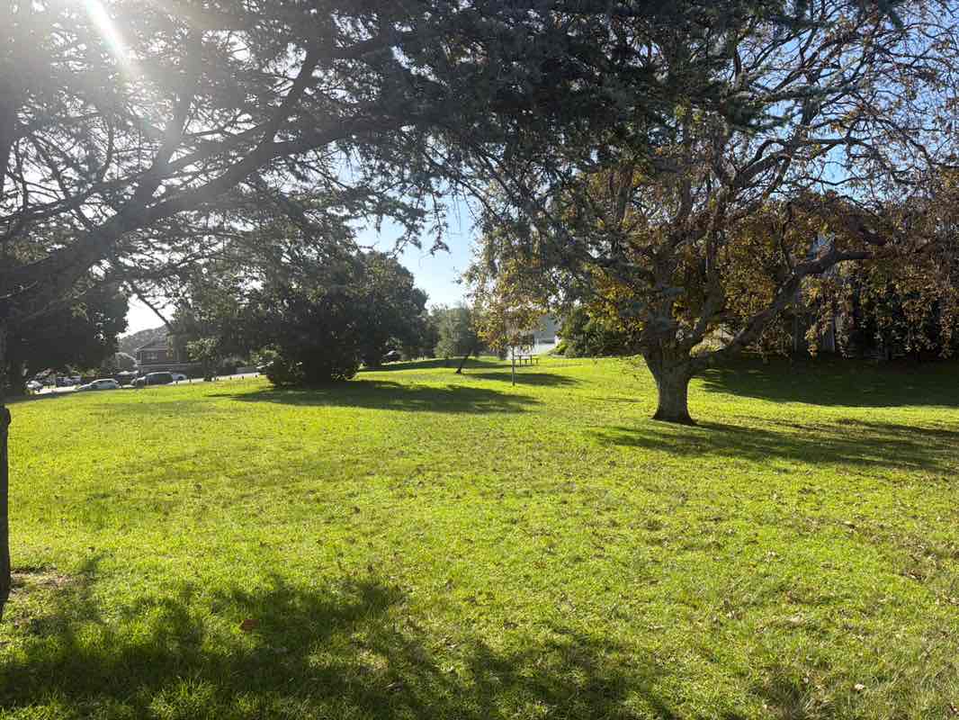 walking near me in Banks Reserve in autumn