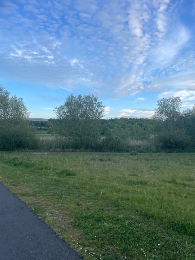 walking near me in Tymon Park in spring
