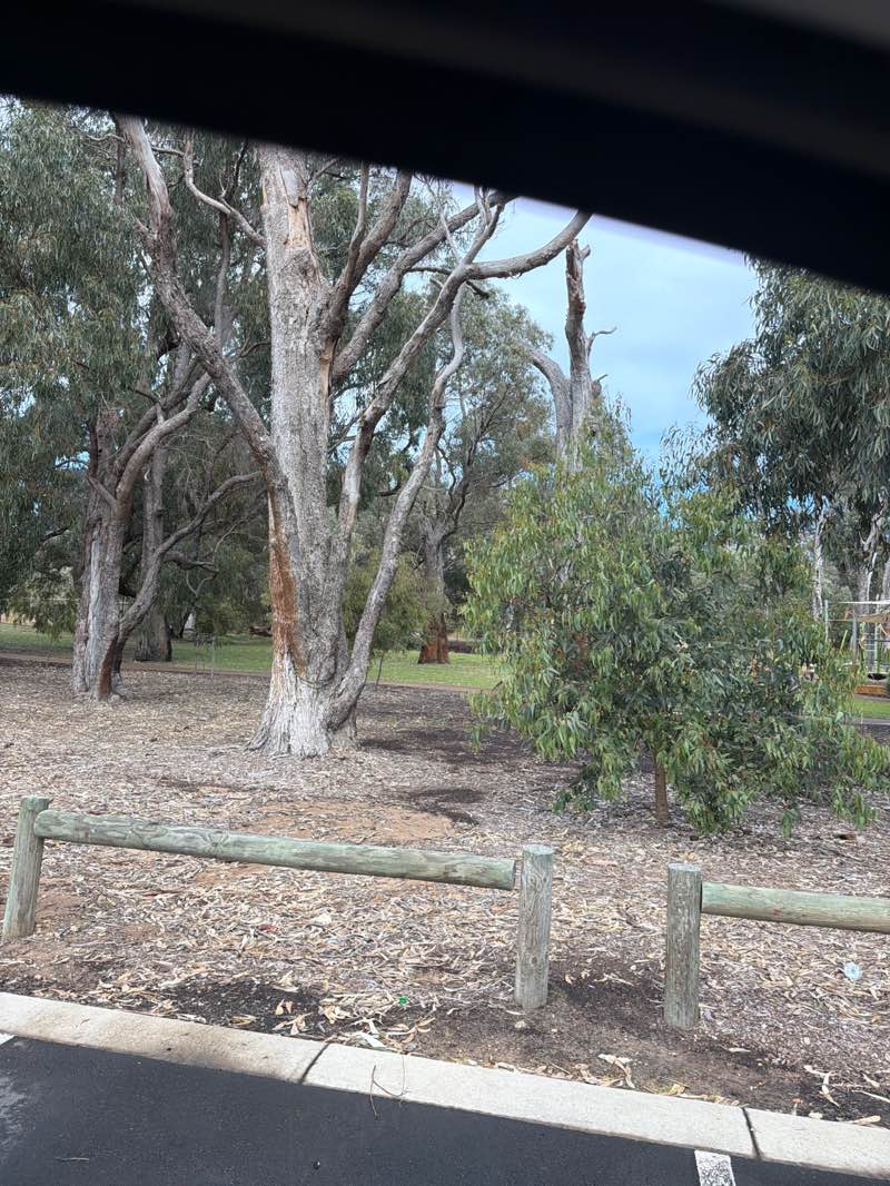 walking near me in Maidens Reserve in spring