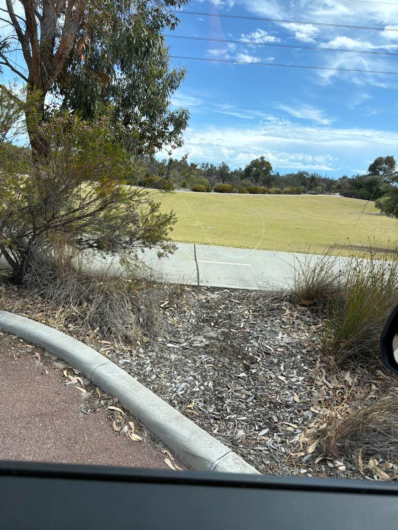 walking near me in Calleya Dog Park in spring