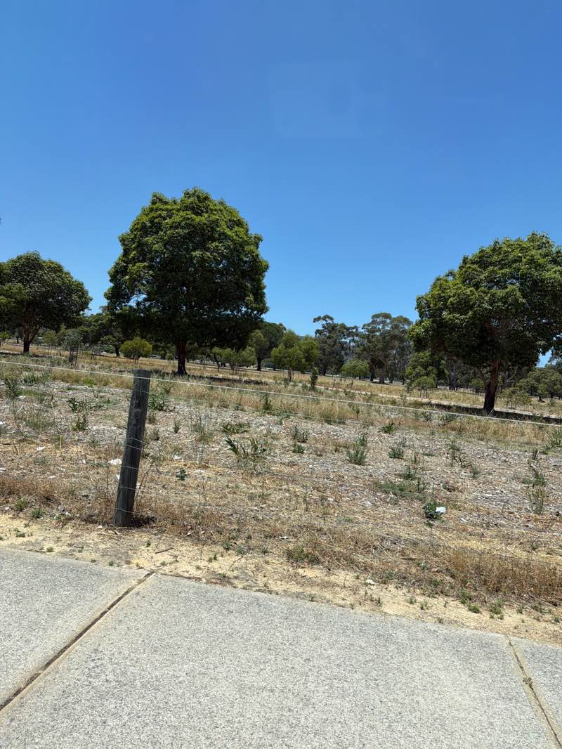 walking near me in Harmony Fields in summer