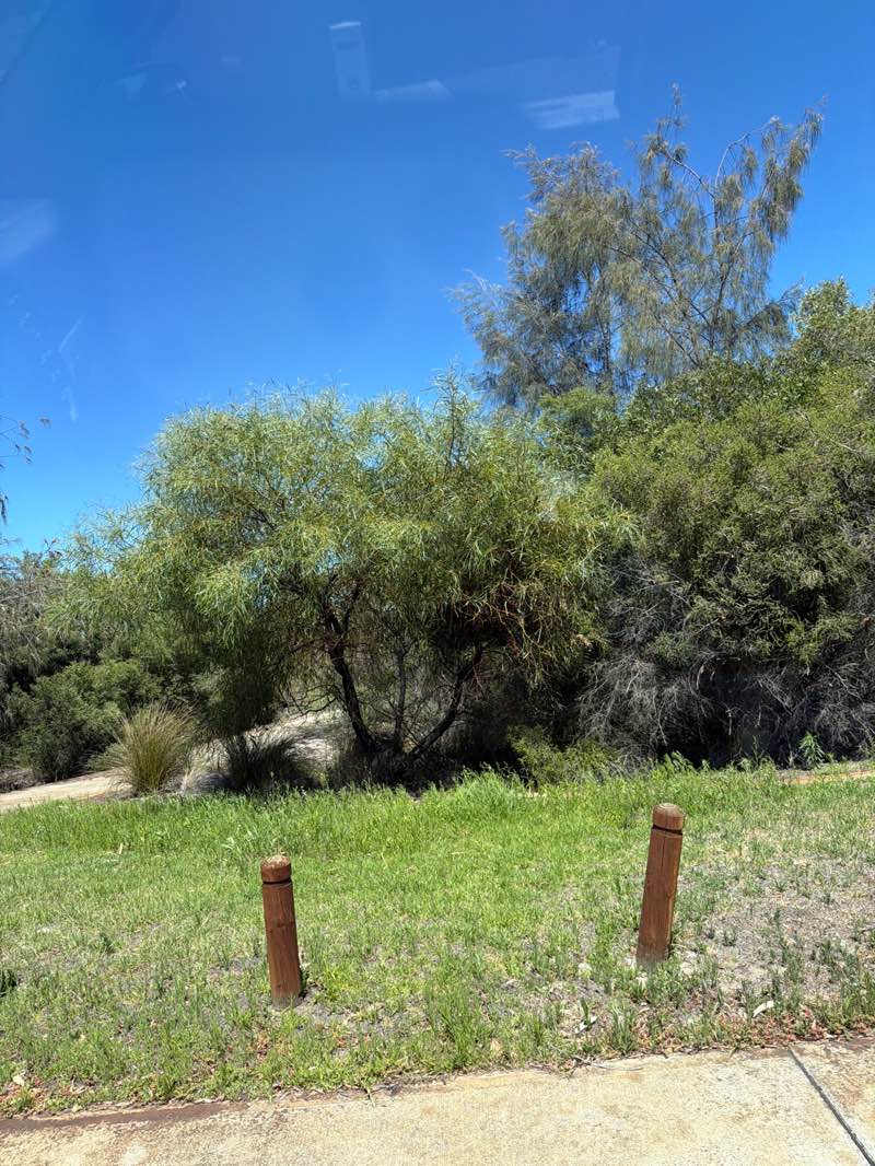 walking near me in Sunlit Park in summer