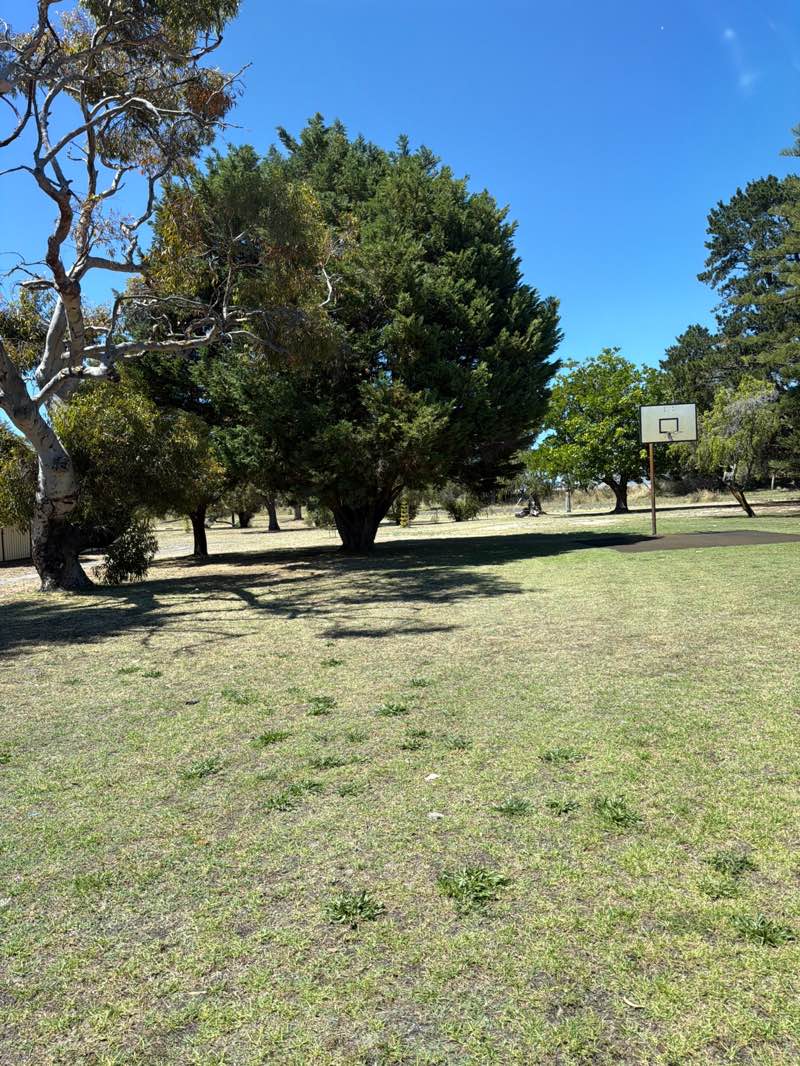 walking near me in Ken Cantwell Park in summer