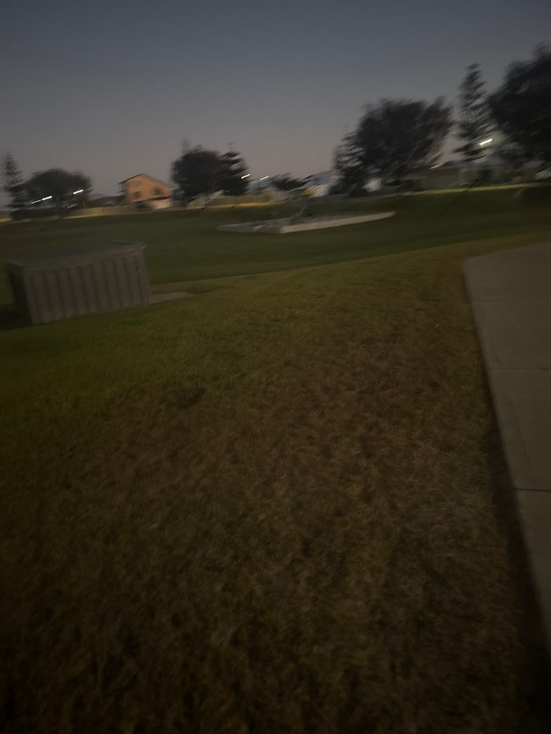 walking near me in Passamani Park in summer