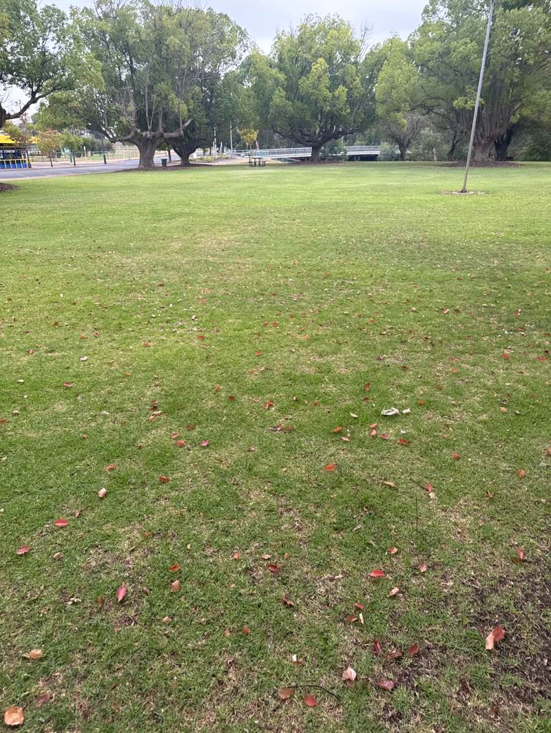 walking near me in Soldiers Park in summer