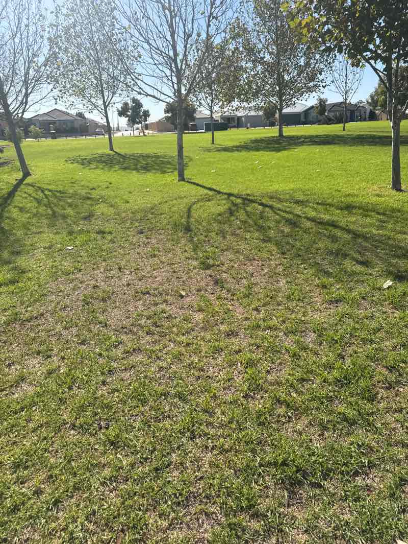 walking near me in Ravensfield Rd Reserve in summer