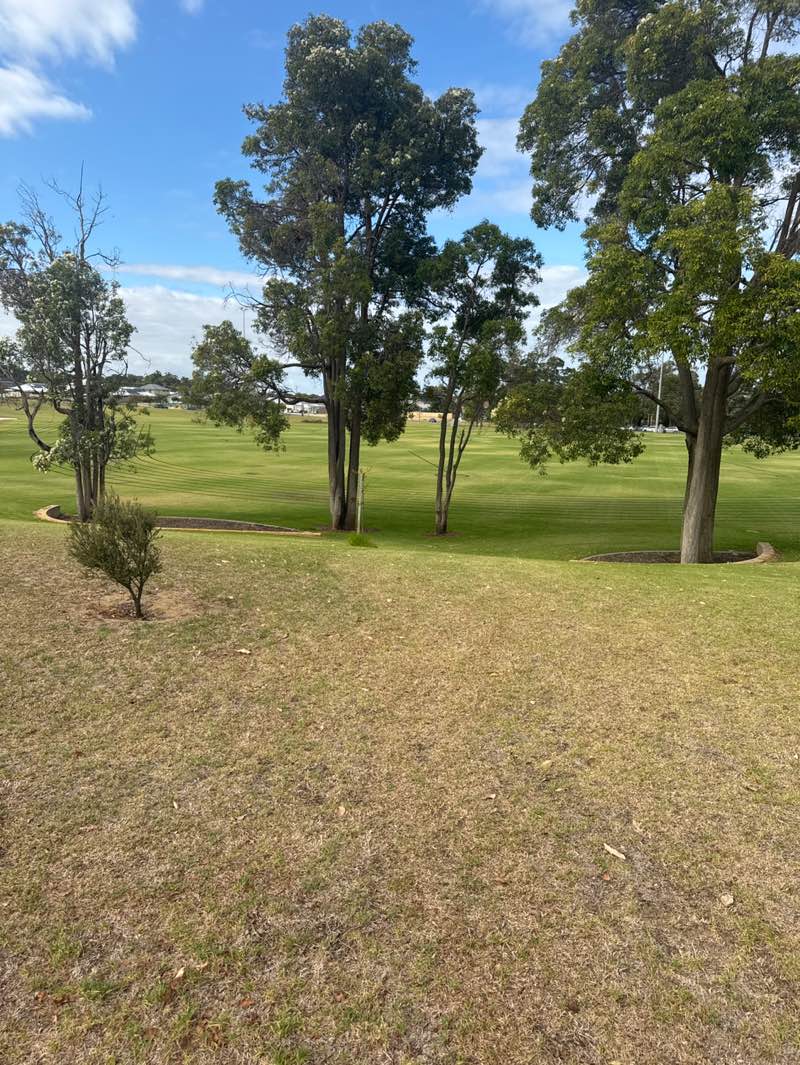 walking near me in Peckham Reserve in summer