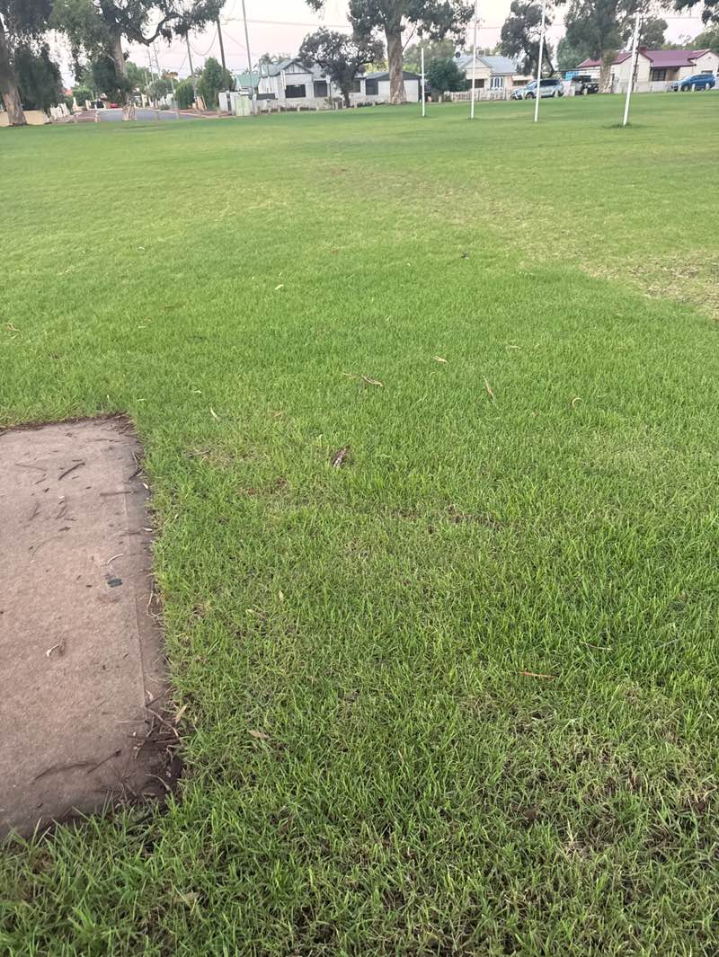 walking near me in Rosenberg Circle Reserve in summer