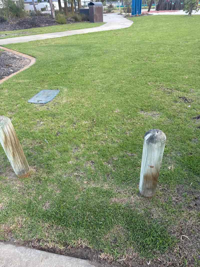 walking near me in Steamrail Adventure Playground in summer