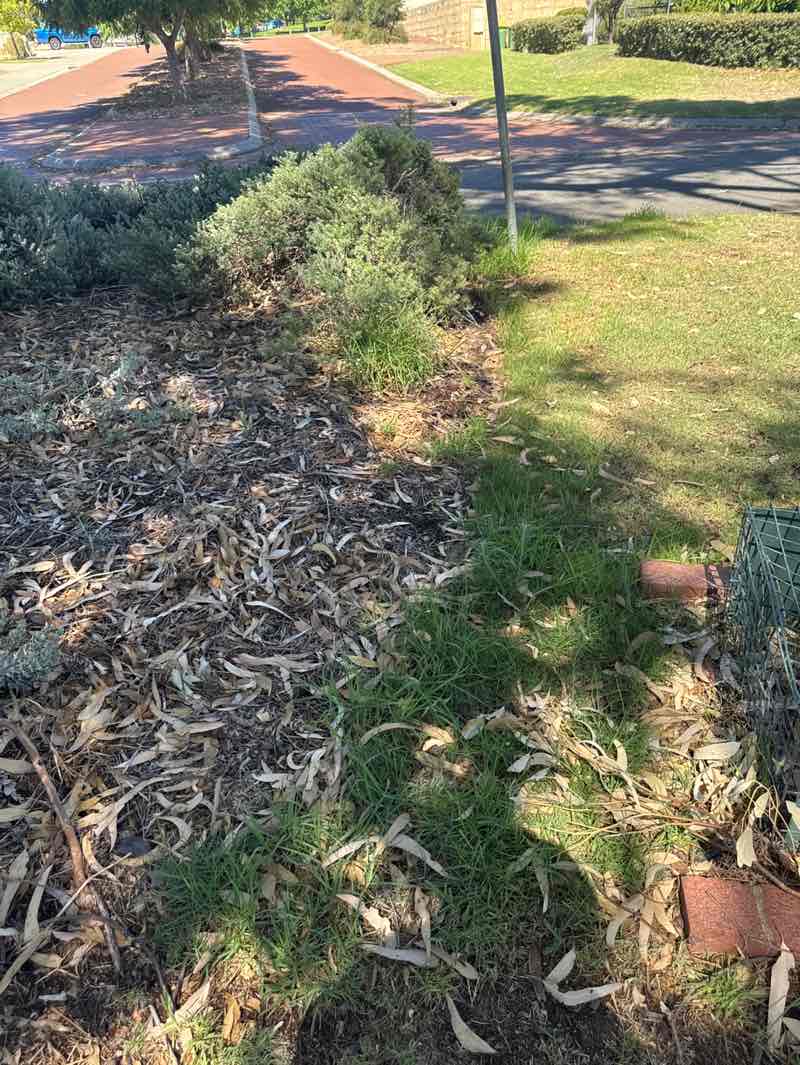 walking near me in Tamworth Hill Swamp in autumn