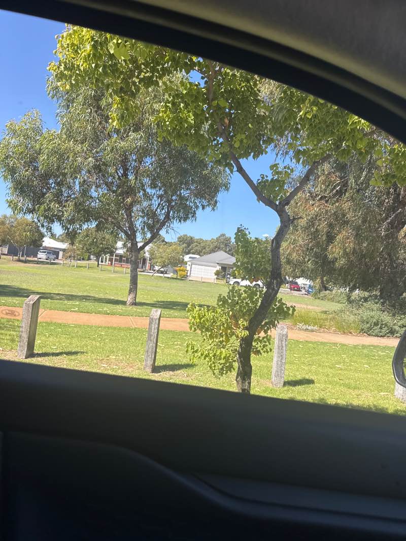 walking near me in Settlers Hill Park in autumn