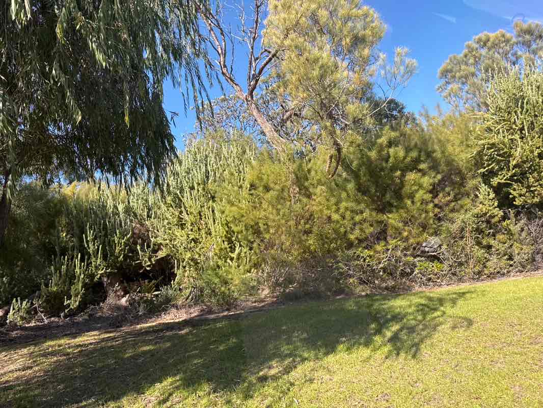 walking near me in Egret Point Park in autumn
