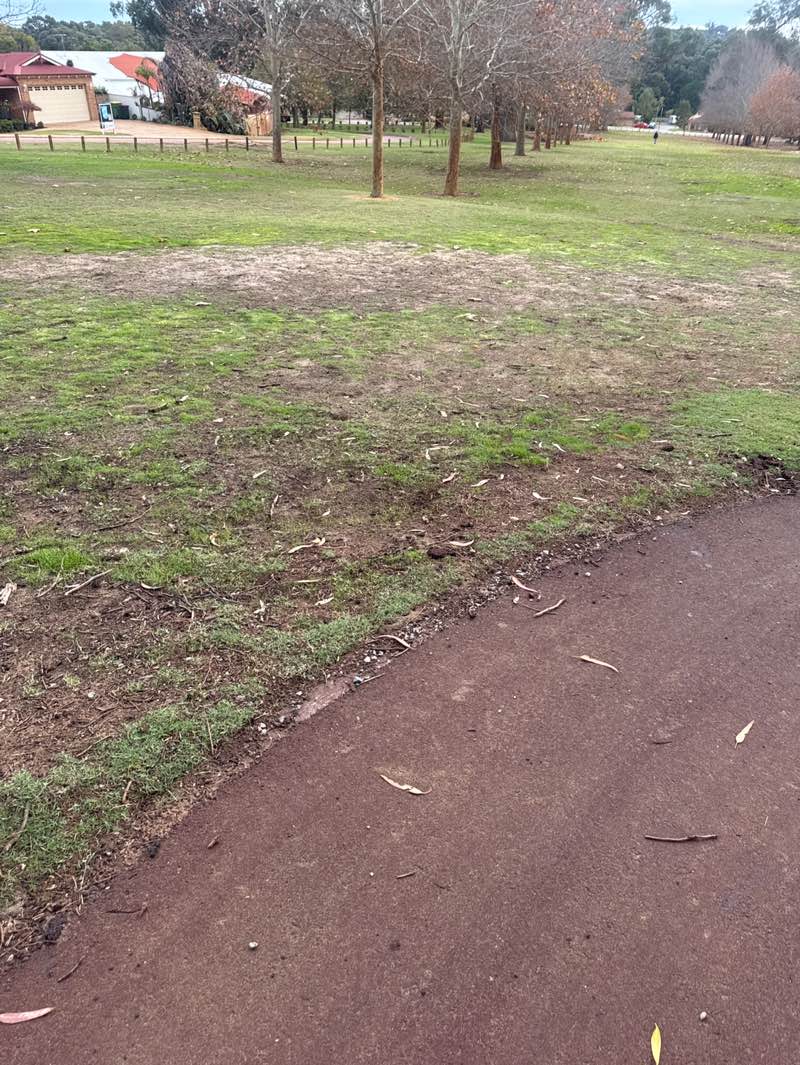 walking near me in Trusty Park in winter