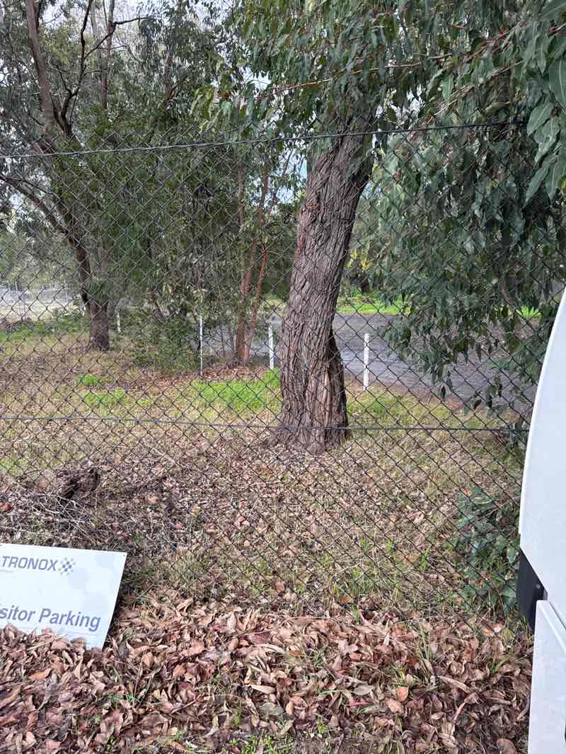 walking near me in Morangarel Nature Reserve in winter