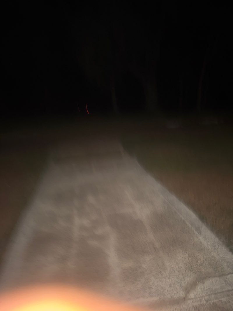 walking near me in Jack Meares Park in winter