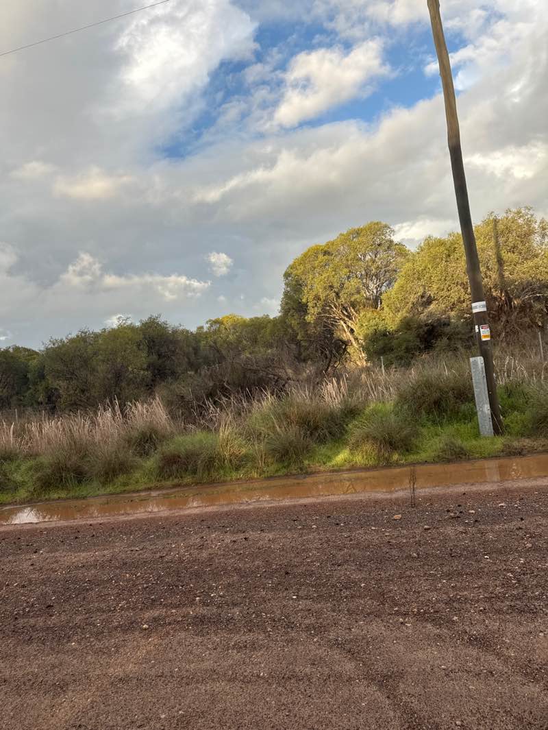 walking near me in Unnamed WA45057 5(1)(g) Reserve in spring